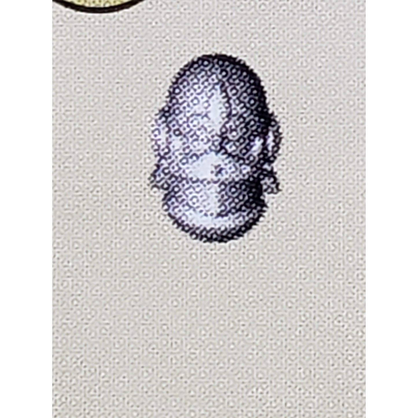40k Adeptus Sororitas Bits Battle Sister Squad Fleur de lis Helmet Head #142