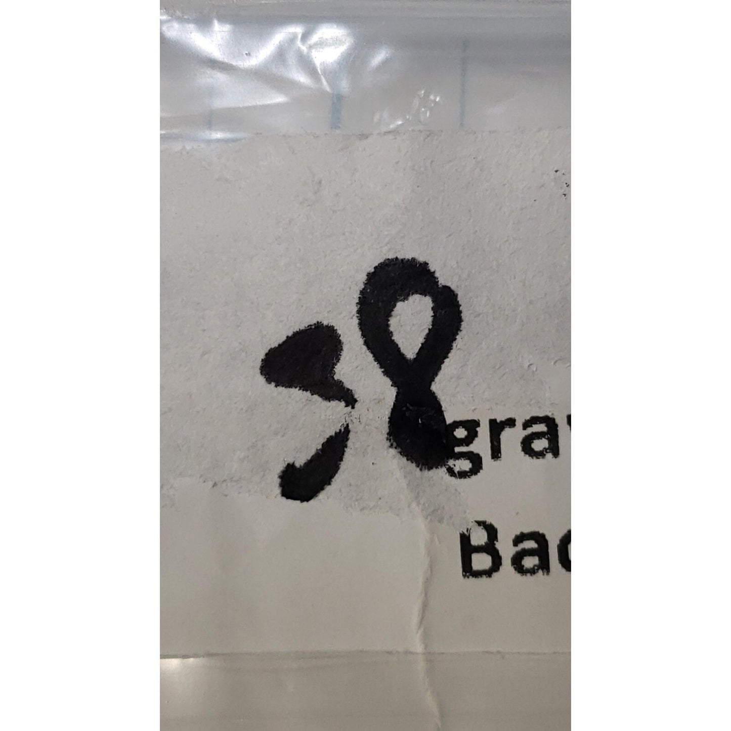 40k Chaos Space Marine Bits Chosen Engraved Mutated Backpack #38