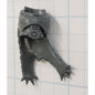 40k Space Wolves Bits Wolf Pack Wolf Guard Wolf Pelt Cape & Engraved Torso