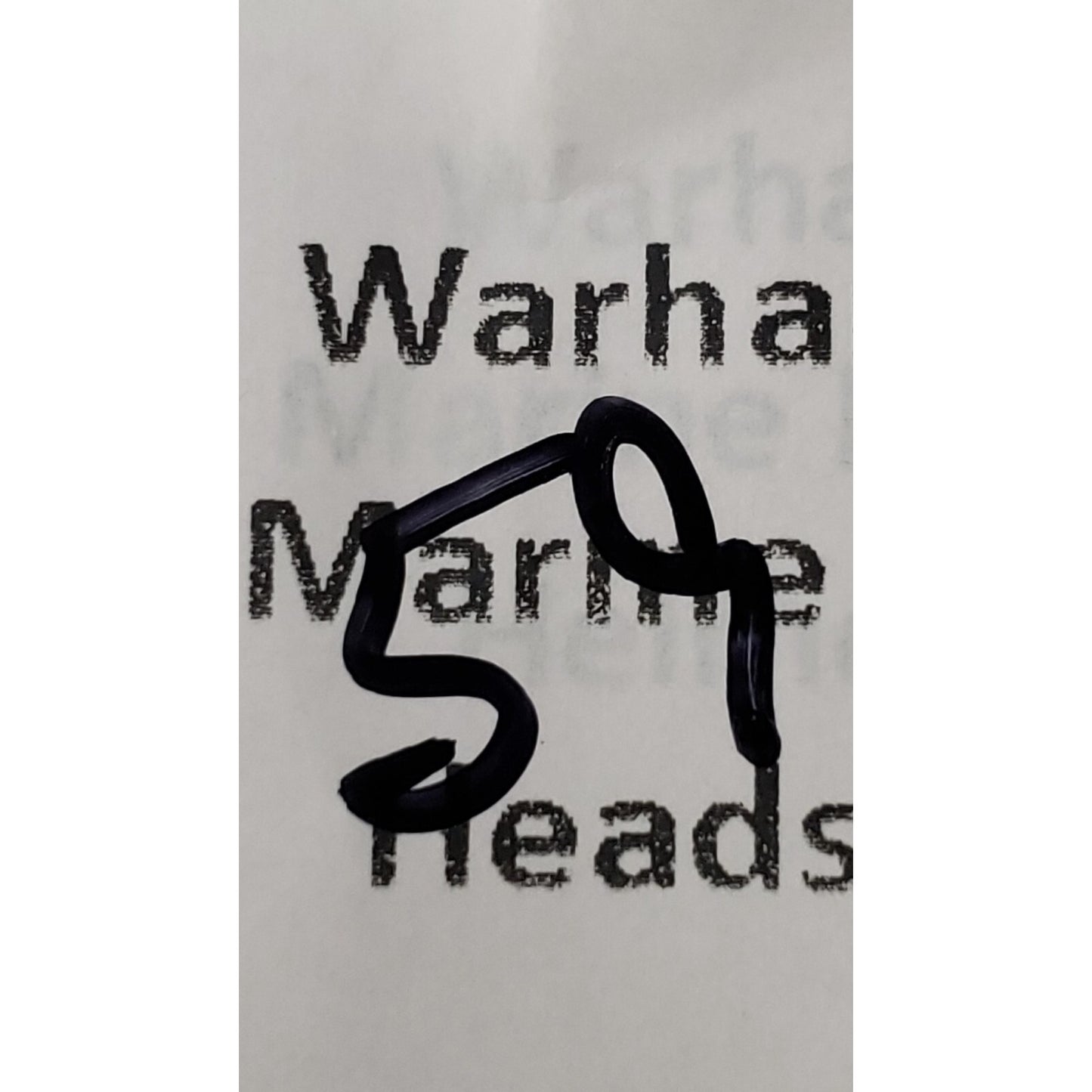 40K Space Marine Bits Reiver Helmet Skull Head #59